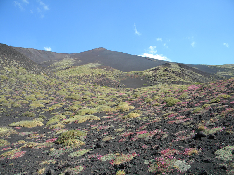 DSCN6439.jpg