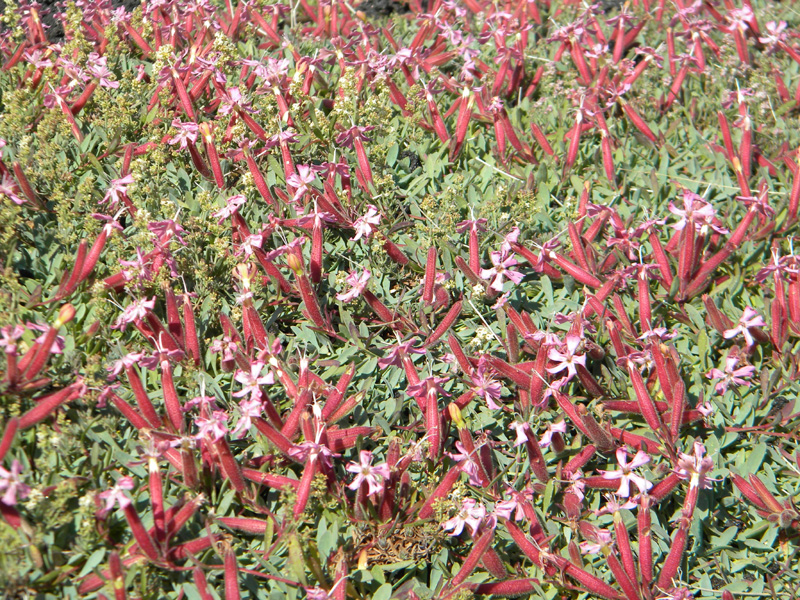 DSCN6448.jpg