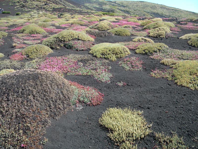 DSCN6455.jpg