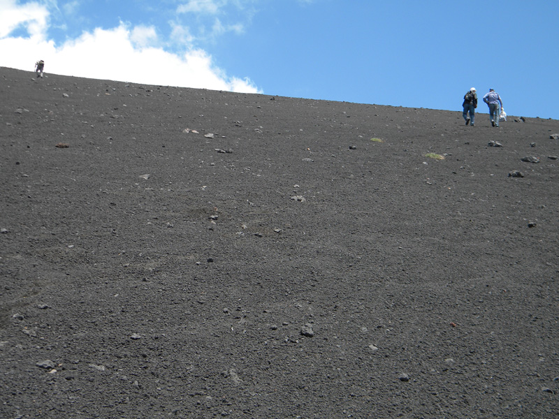 DSCN6498.jpg