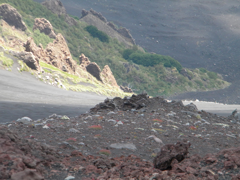 DSCN6512.jpg