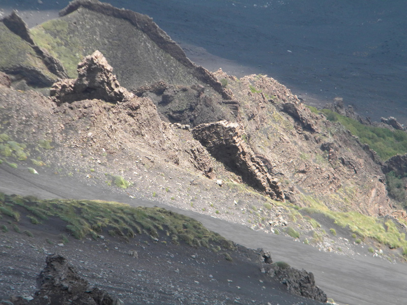 DSCN6513.jpg