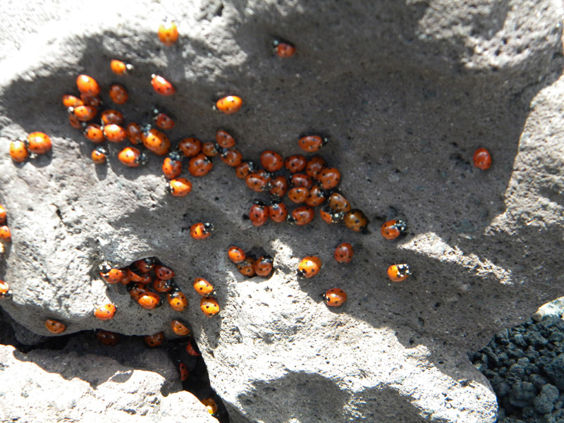 DSCN6526.jpg