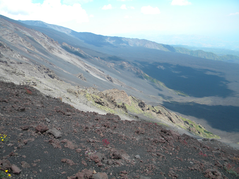DSCN6528.jpg