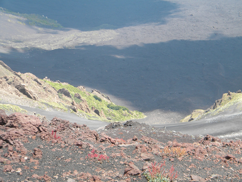 DSCN6529.jpg