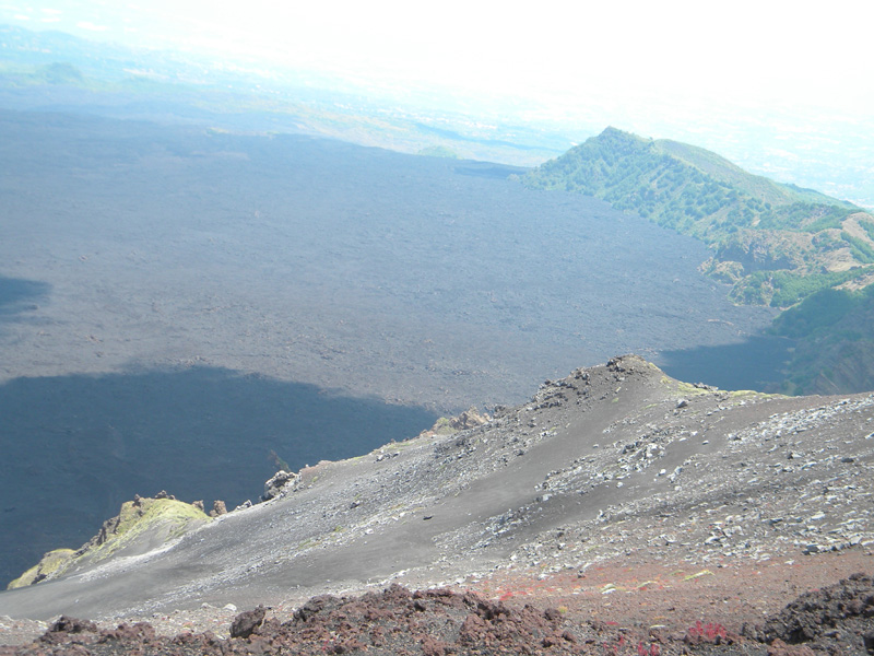 DSCN6531.jpg