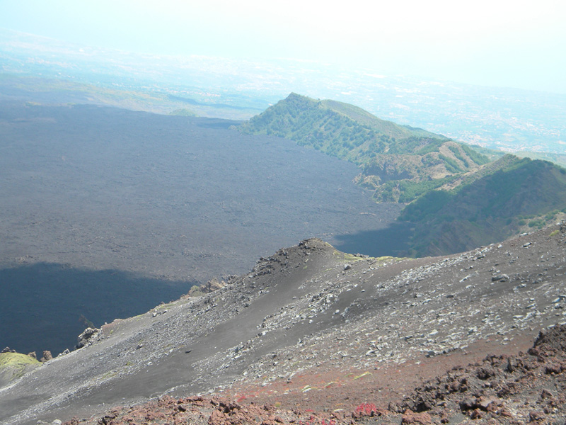 DSCN6532.jpg