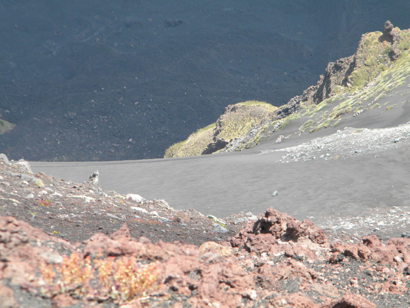 DSCN6533.jpg