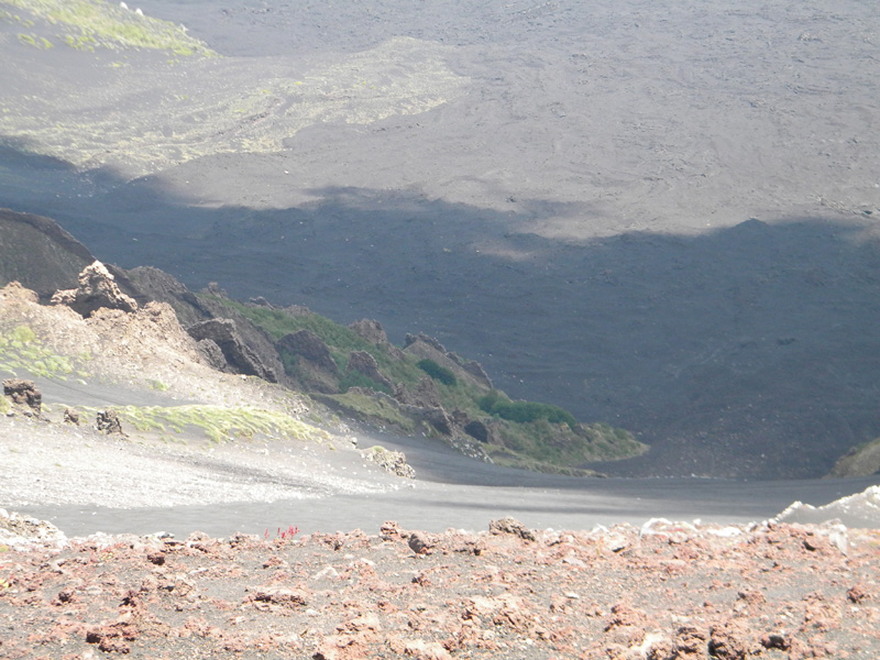 DSCN6537.jpg