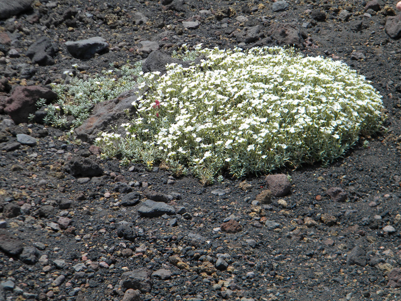 DSCN6540.jpg