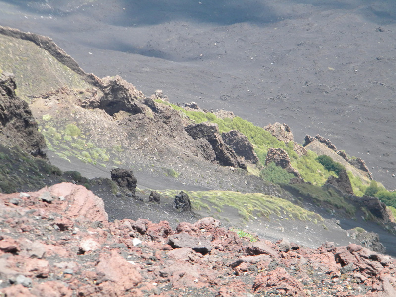 DSCN6541.jpg