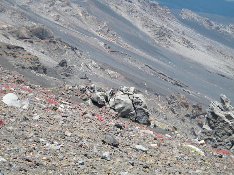 DSCN6551.jpg