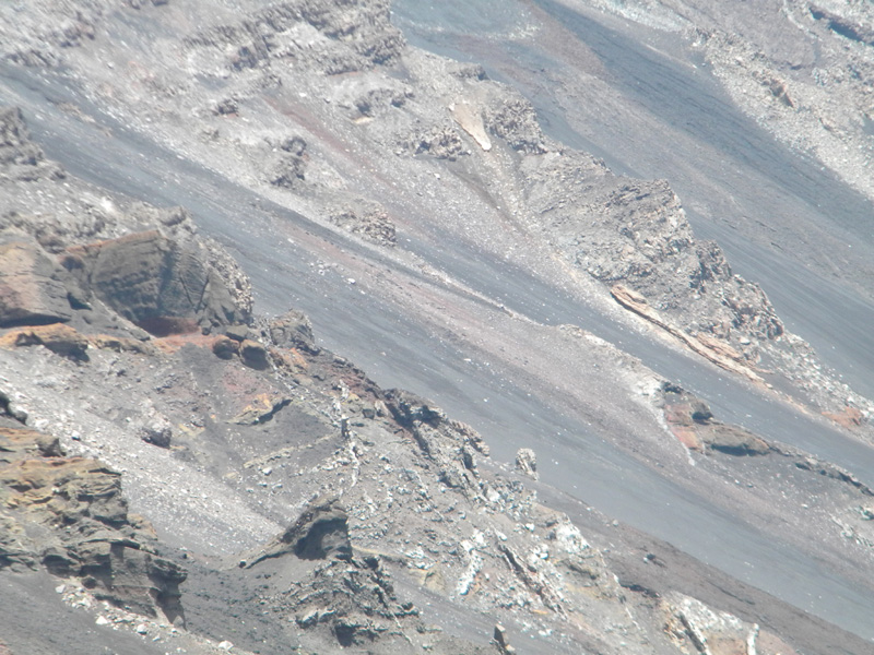 DSCN6552.jpg
