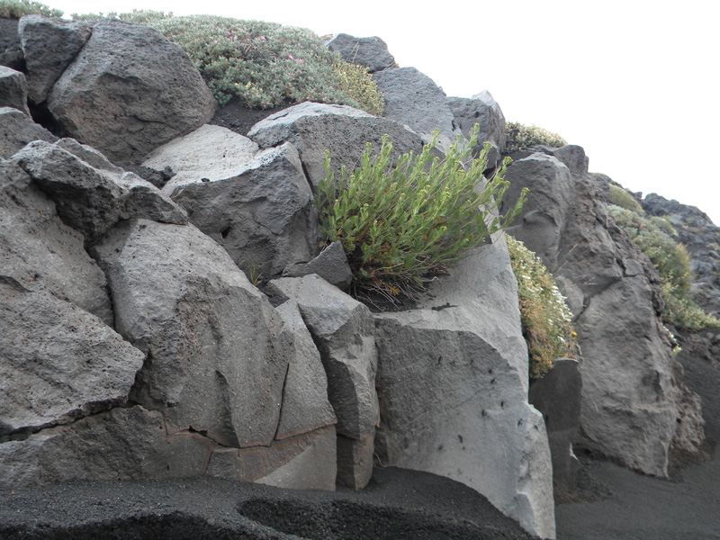 DSCN6613.jpg