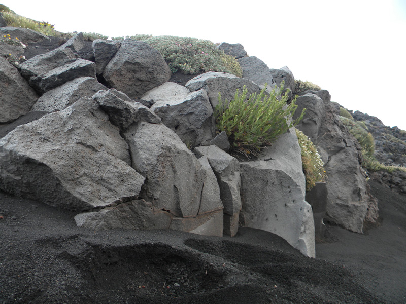 DSCN6614.jpg