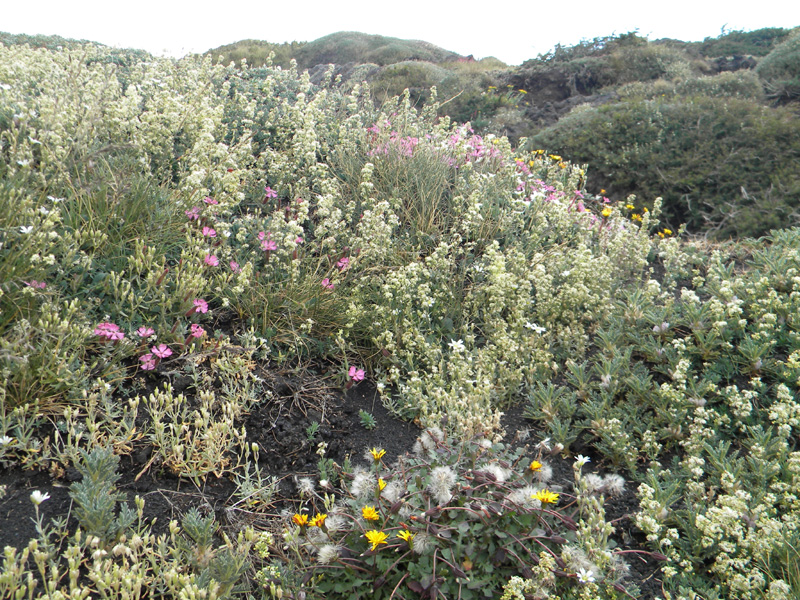 DSCN6623.jpg