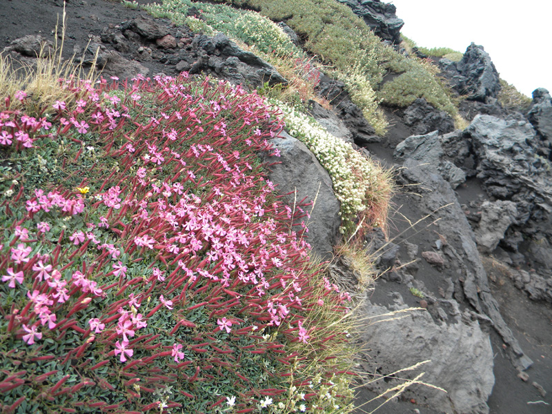 DSCN6634.jpg
