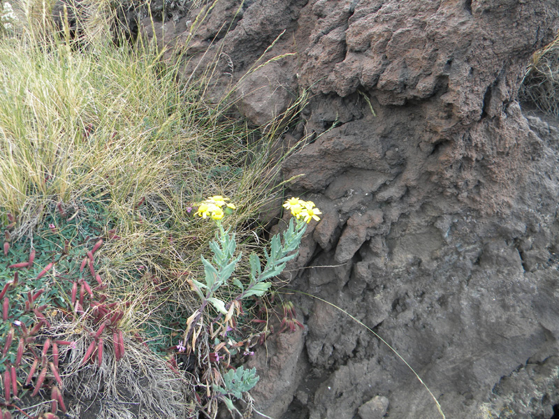 DSCN6638.jpg