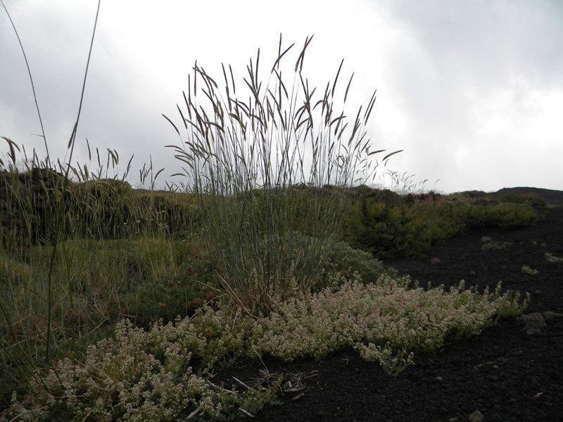 DSCN6639.jpg