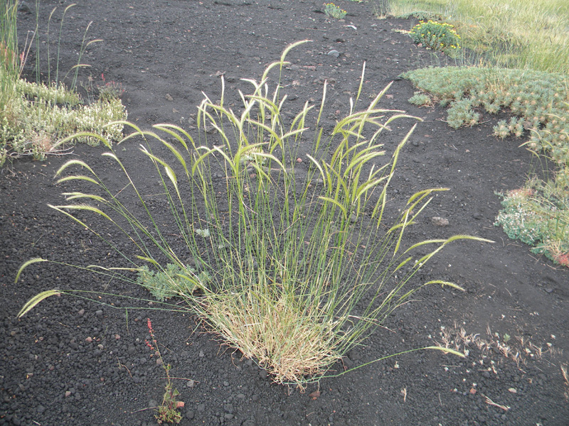 DSCN6640.jpg