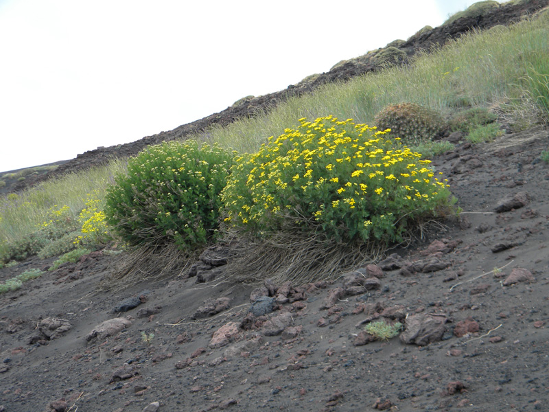 DSCN6643.jpg