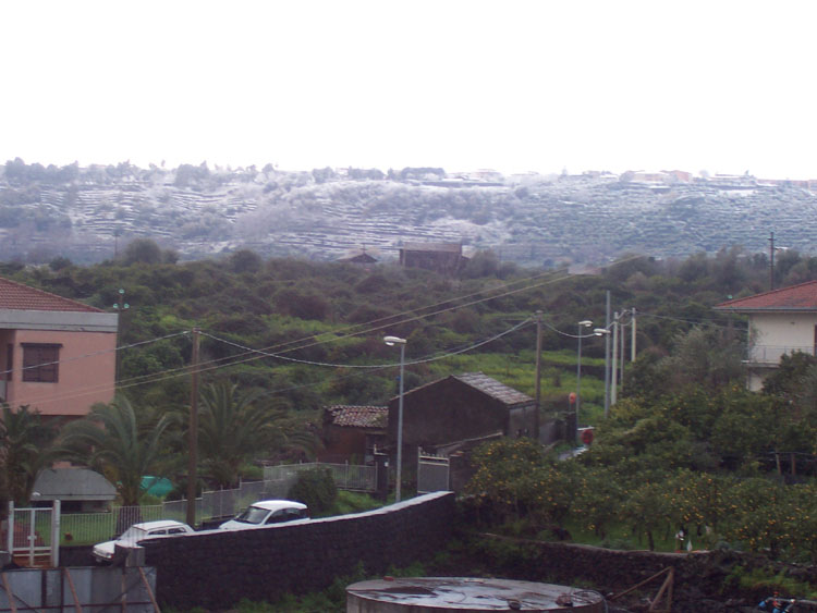 100_4980.jpg