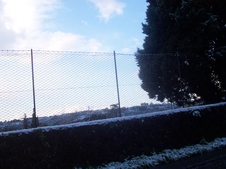 100_4990.jpg