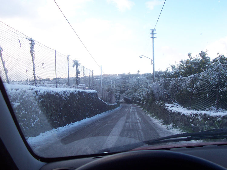 100_4992.jpg