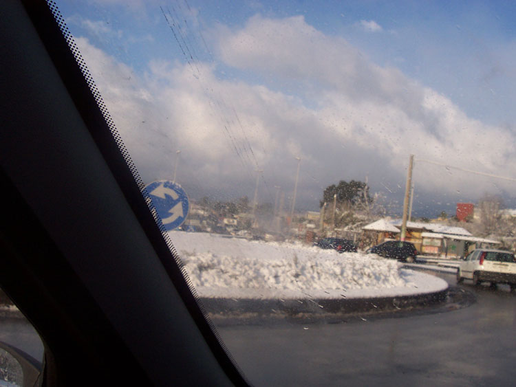100_5005.jpg