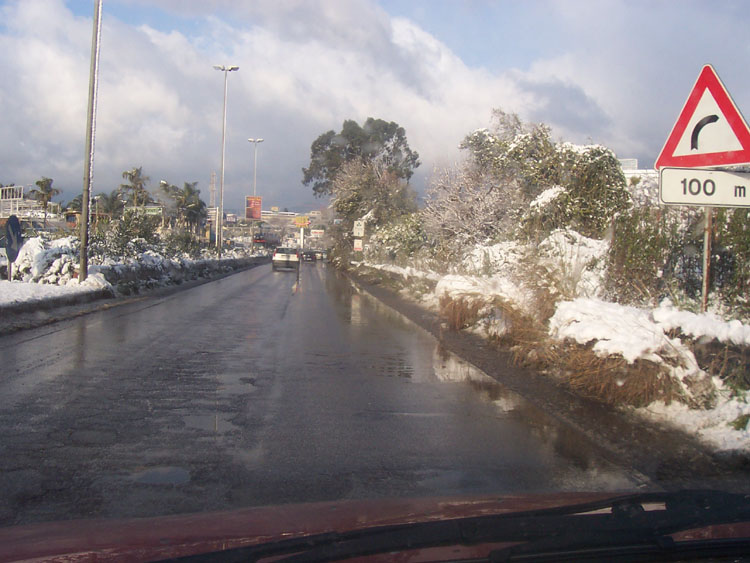 100_5006.jpg