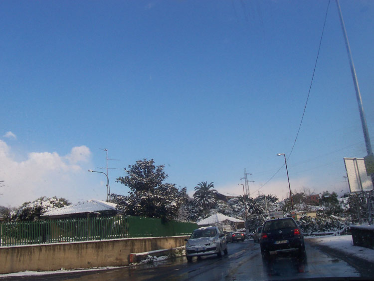100_5007.jpg