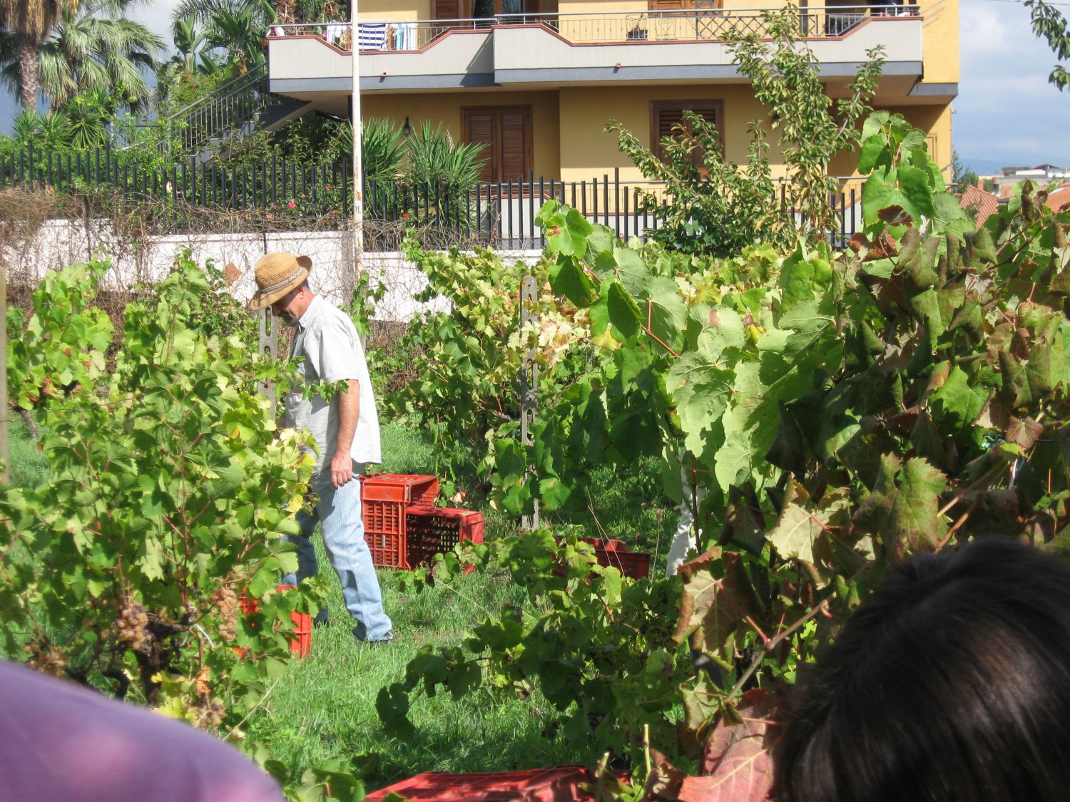 Img_1767.jpg