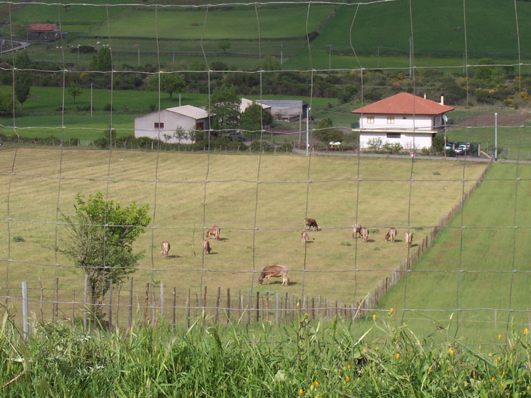 100_5881.jpg