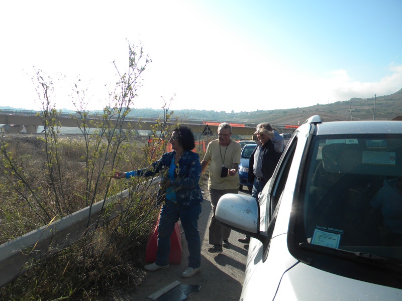 DSCN5425.jpg