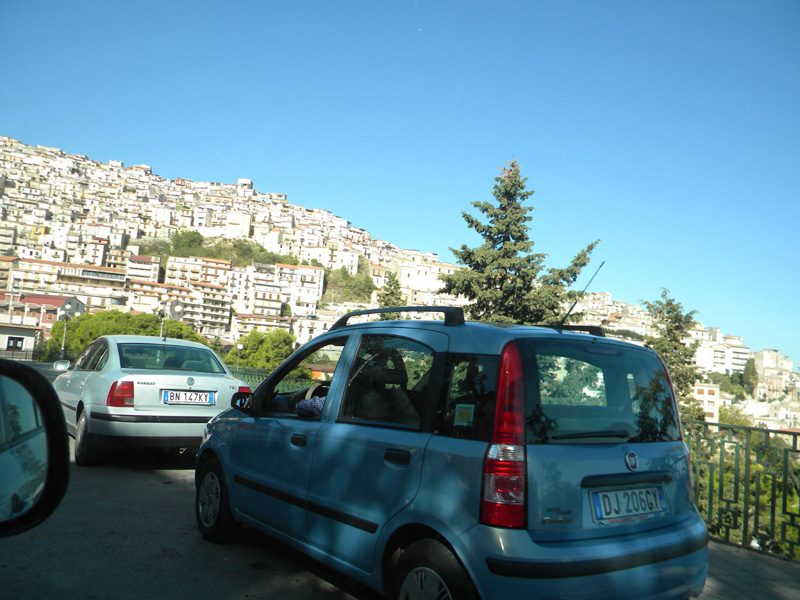 DSCN5441.jpg