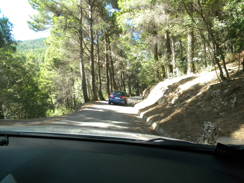 DSCN5443.jpg