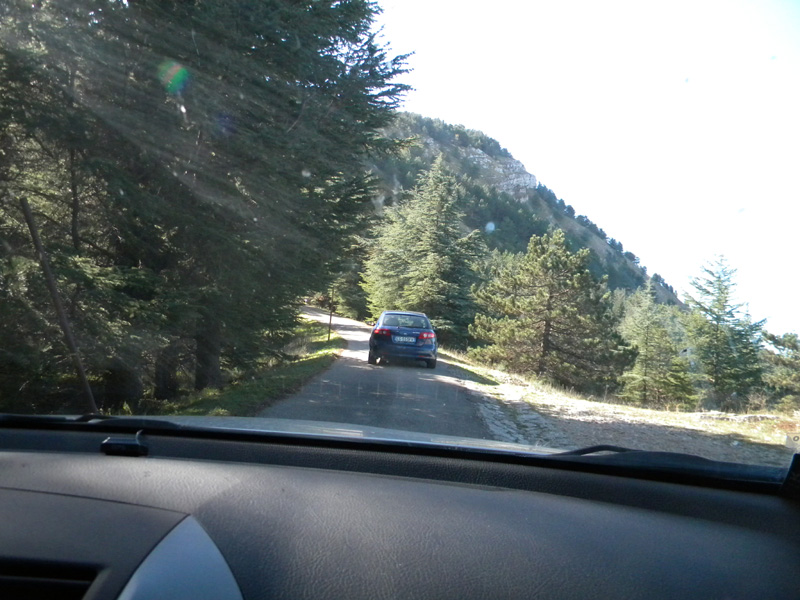 DSCN5444.jpg