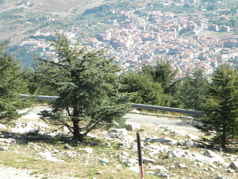 DSCN5453.jpg