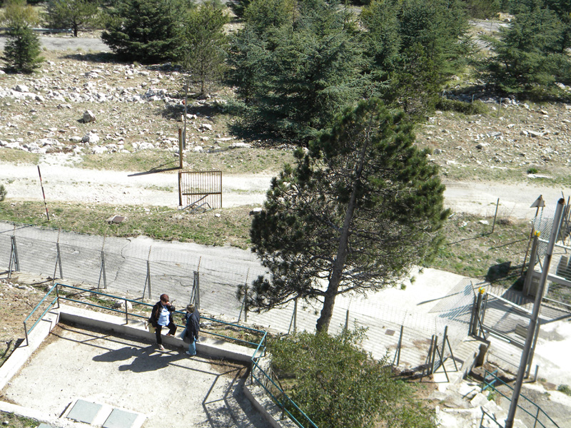 DSCN5466.jpg