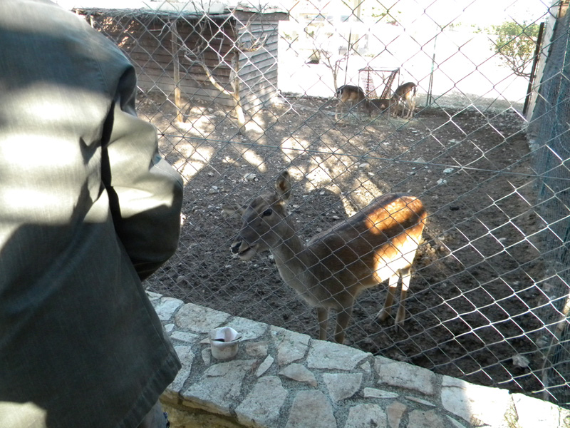 DSCN5574.jpg