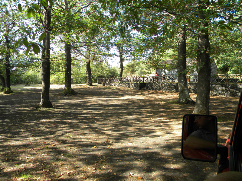 DSCN5294.jpg