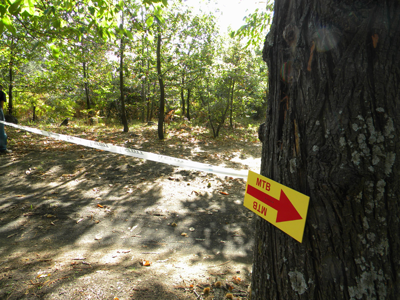 DSCN5296.jpg