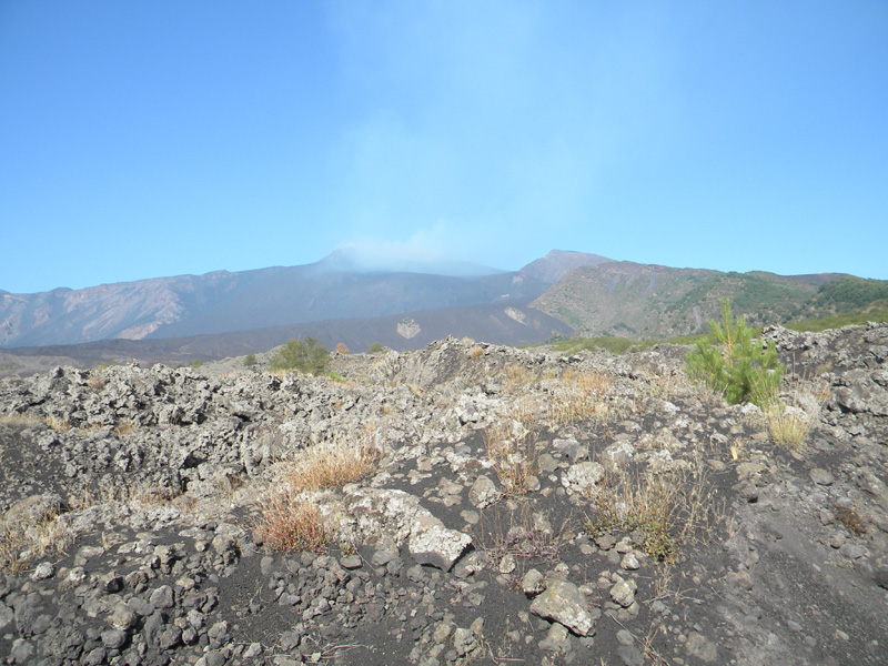 DSCN5297.jpg