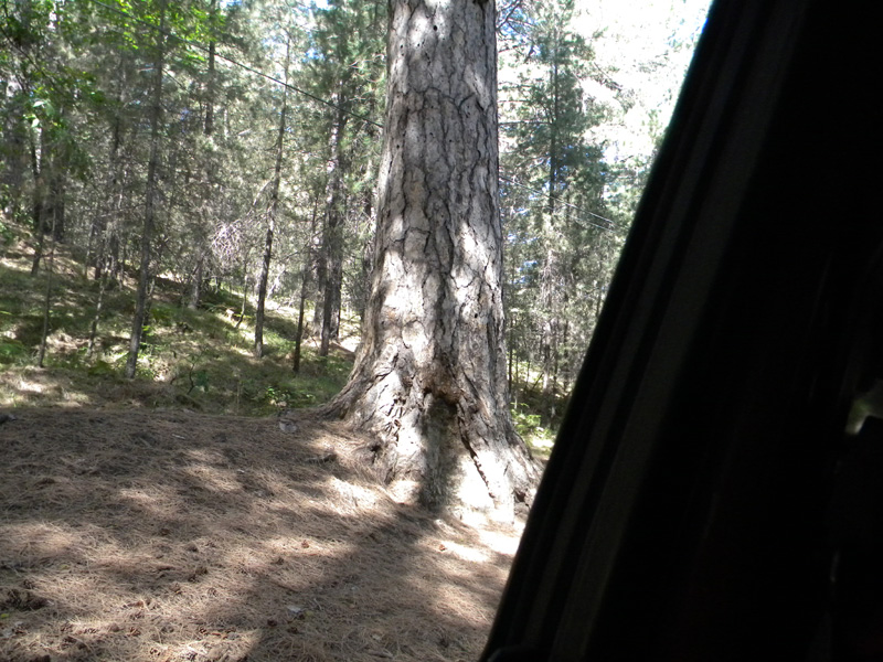 DSCN5326.jpg
