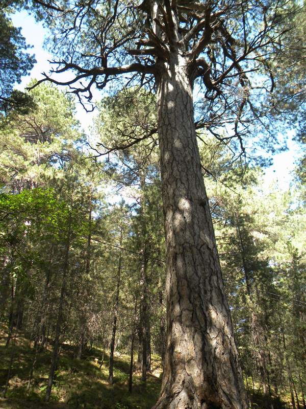 DSCN5327.jpg