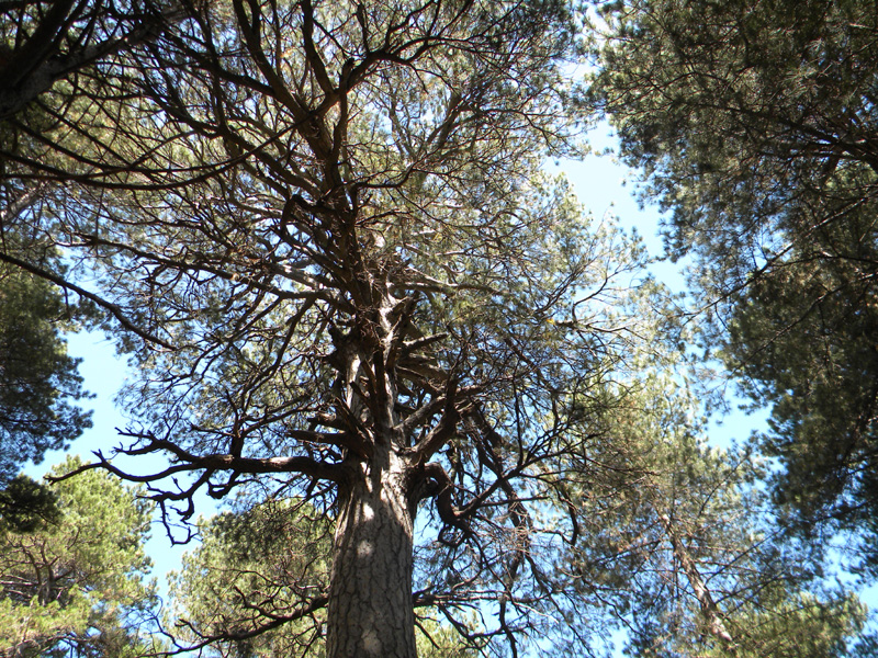 DSCN5328.jpg