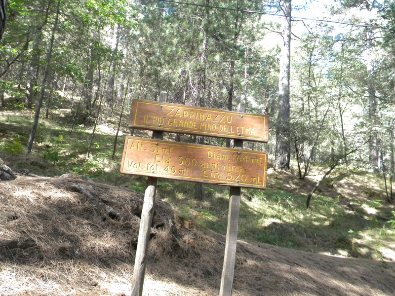 DSCN5329.jpg