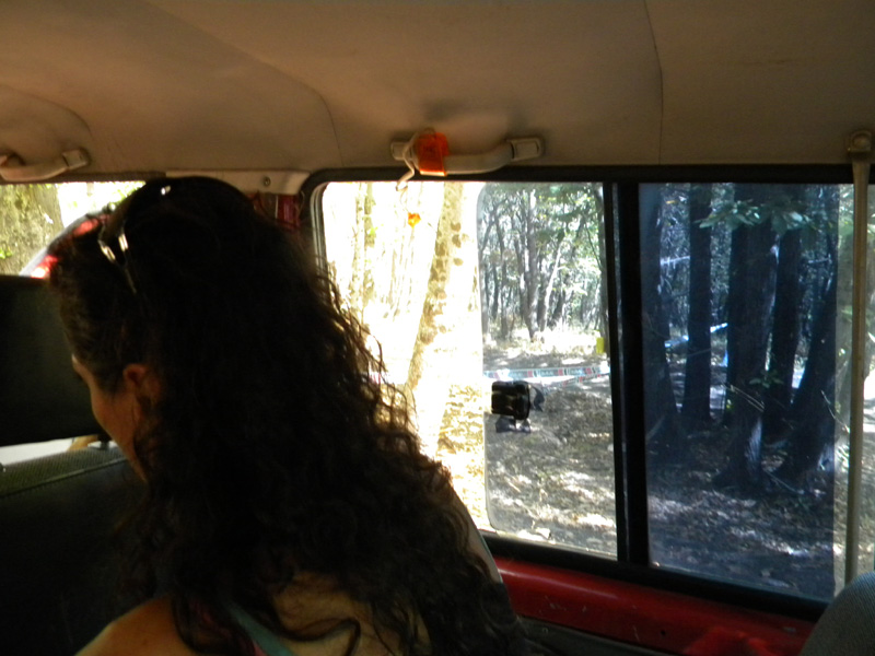 DSCN5343.jpg