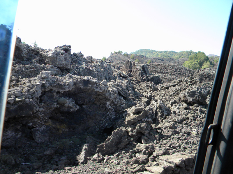 DSCN5349.jpg