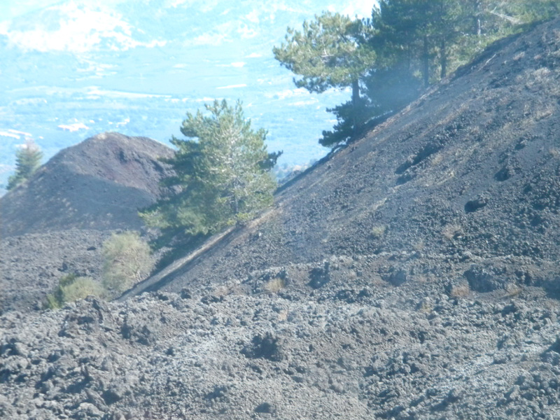 DSCN5351.jpg